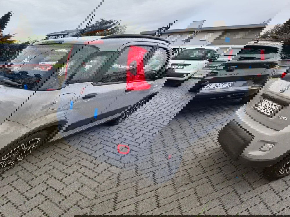 Fiat Panda usata a Firenze (4)