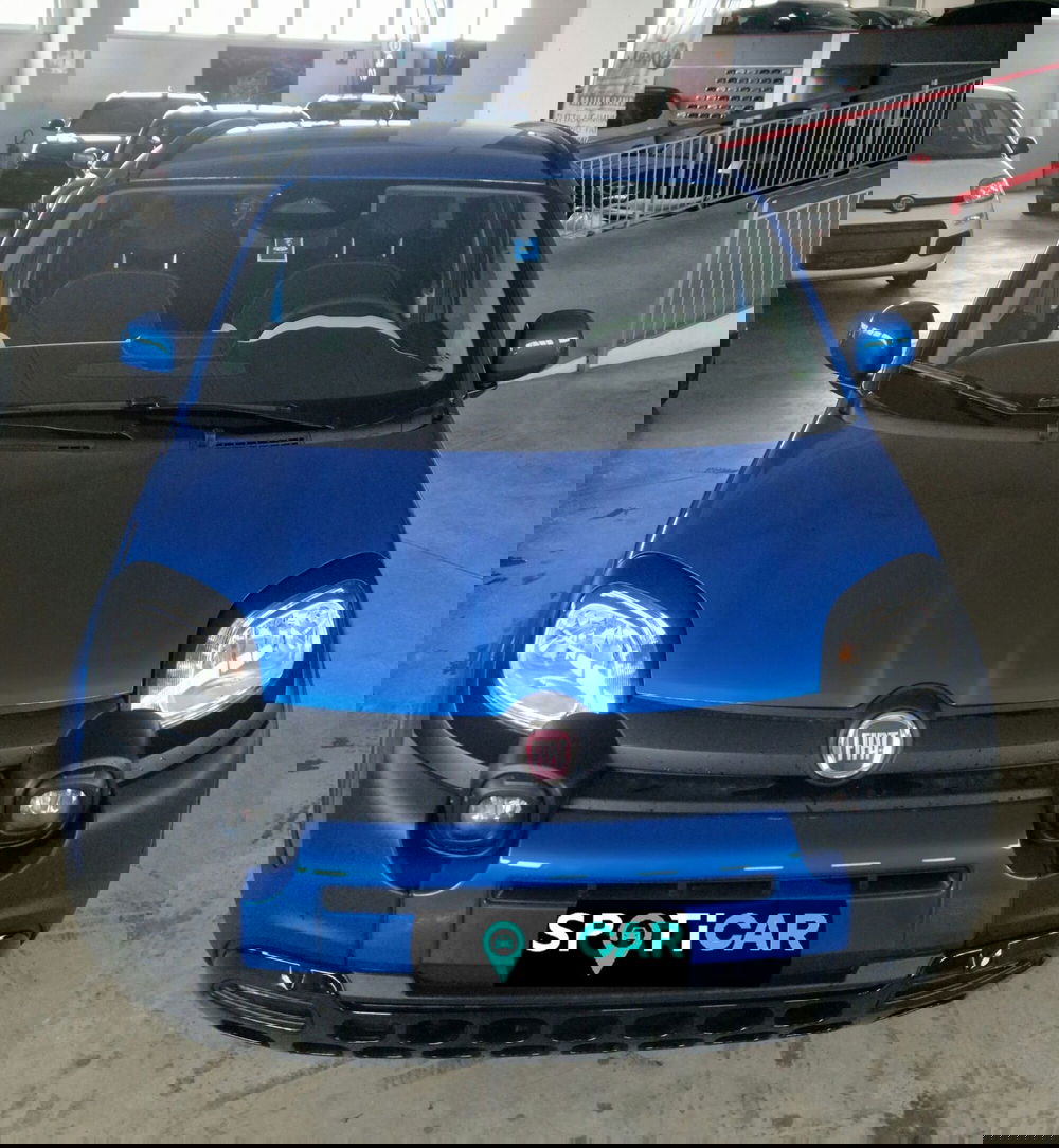 Fiat Pandina usata a Terni (2)