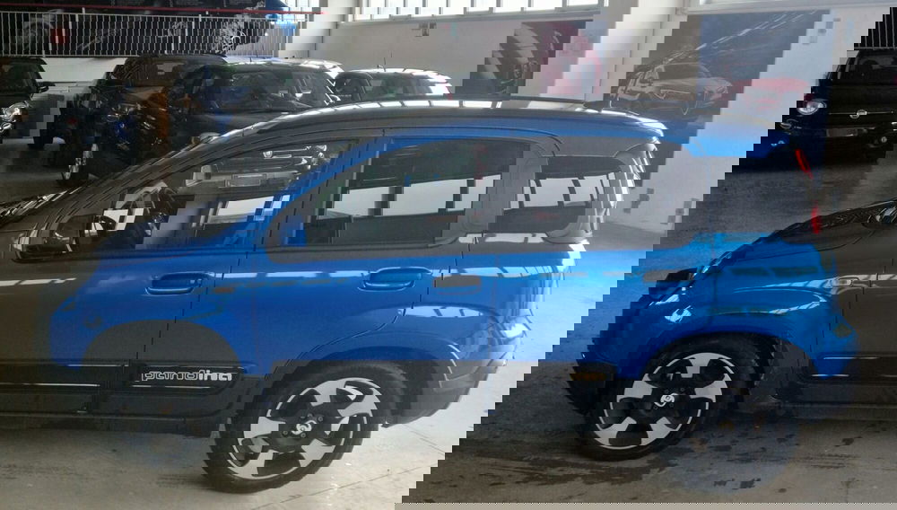 Fiat Pandina usata a Terni (3)