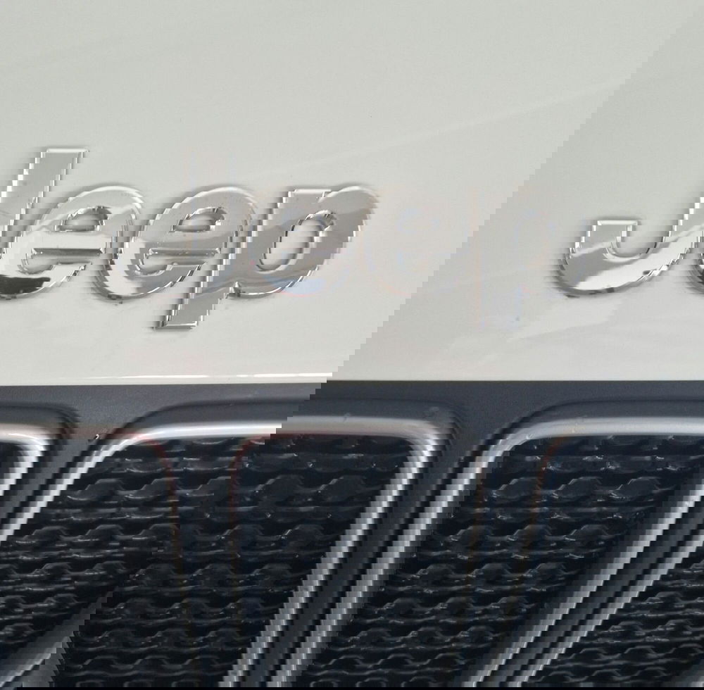 Jeep Renegade usata a Terni (18)