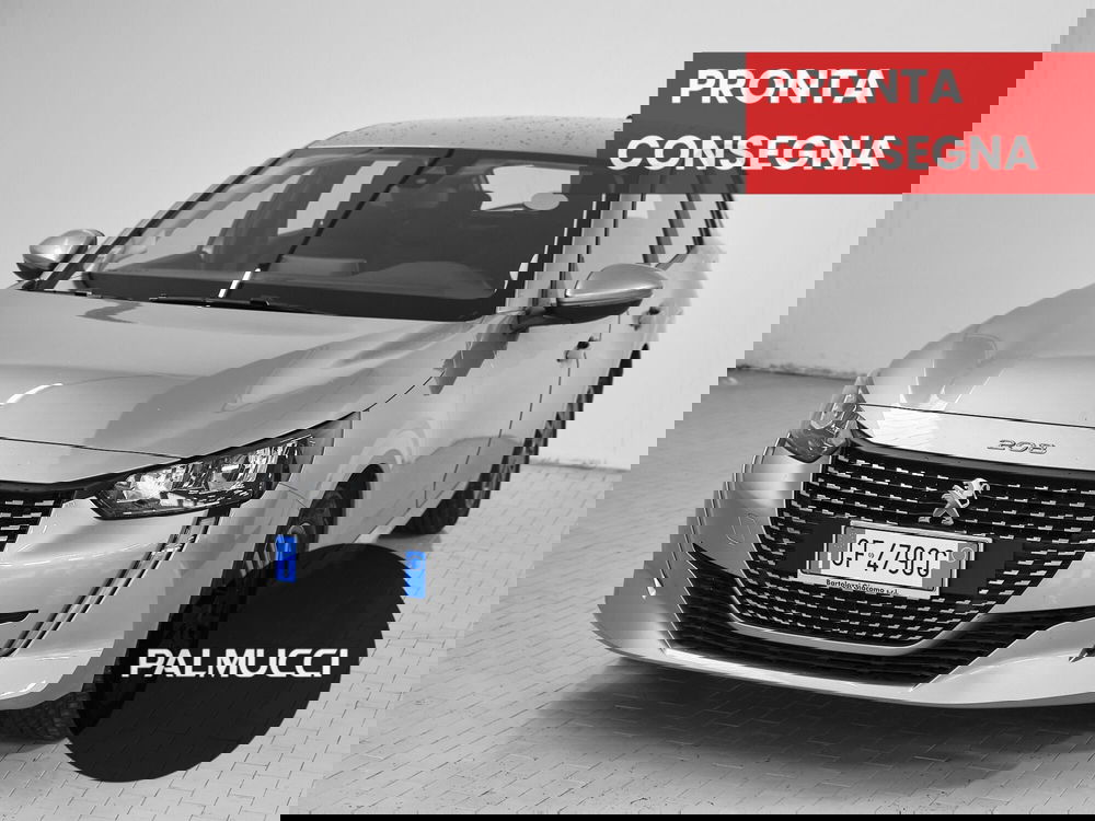 Peugeot 208 usata a Prato