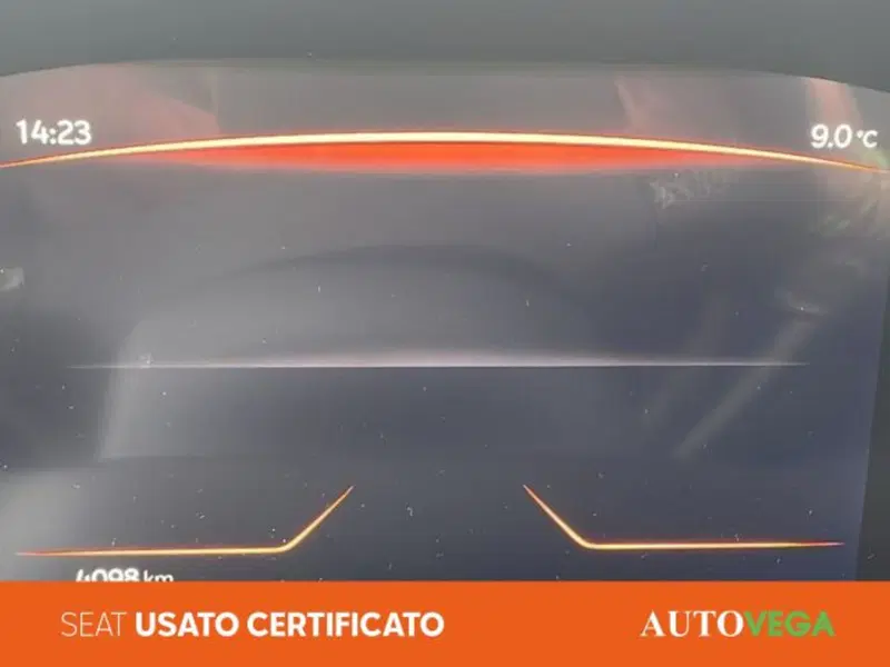 SEAT Ibiza usata a Vicenza (10)