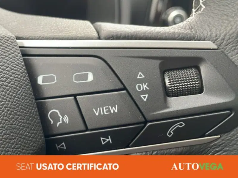 SEAT Ibiza usata a Vicenza (15)