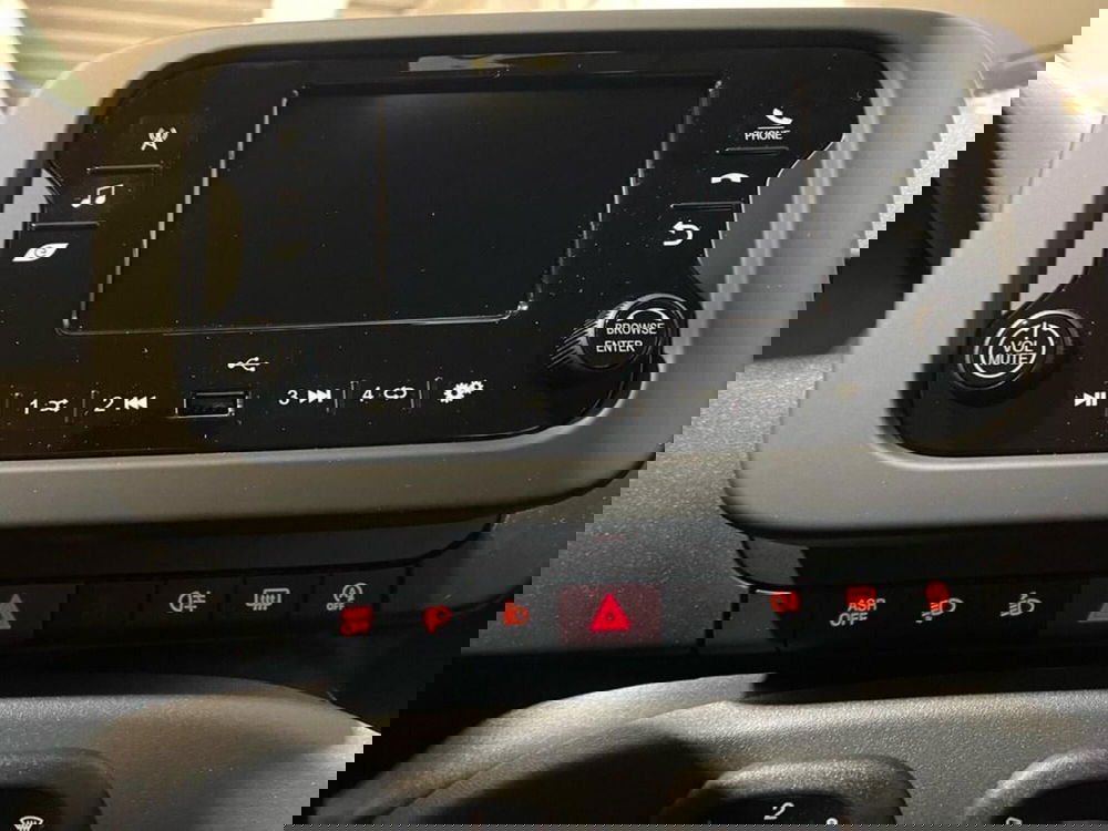 Fiat Pandina nuova a Torino (10)