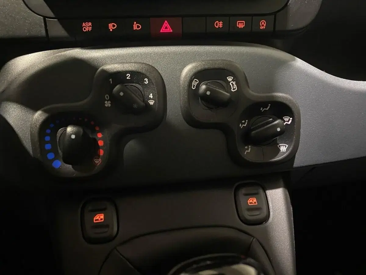 Fiat Pandina nuova a Torino (11)