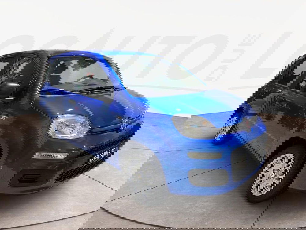 Fiat Pandina nuova a Torino (3)