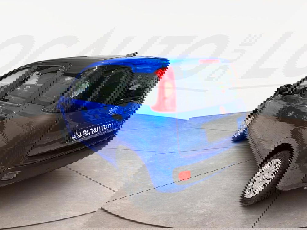 Fiat Pandina nuova a Torino (5)