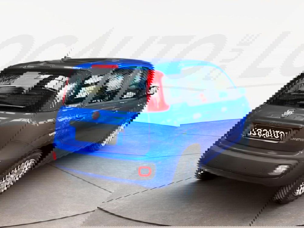 Fiat Pandina nuova a Torino (4)