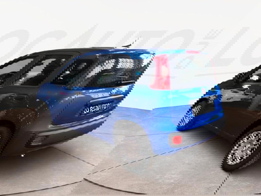 Fiat Pandina nuova a Torino (5)