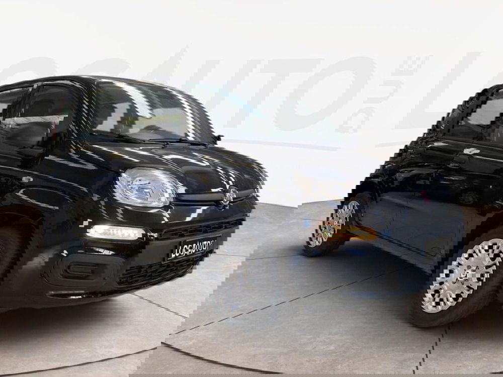 Fiat Pandina nuova a Torino (3)