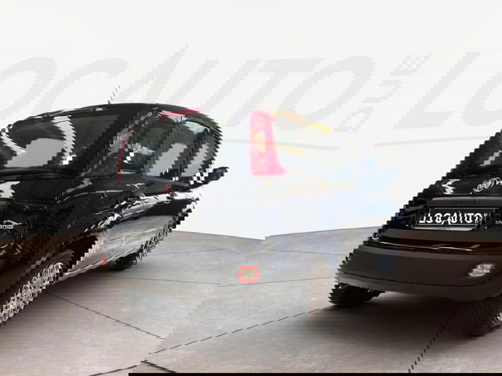 Fiat Pandina nuova a Torino (4)