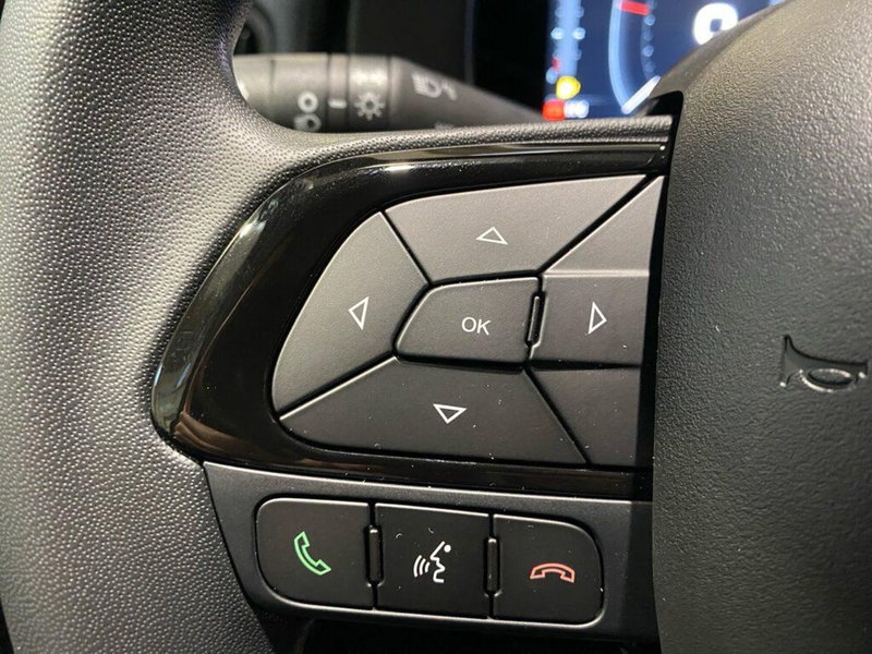 Fiat Pandina nuova a Torino (13)