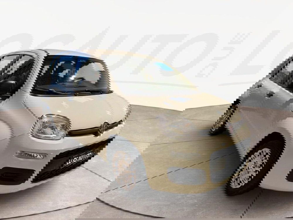 Fiat Pandina nuova a Torino (3)