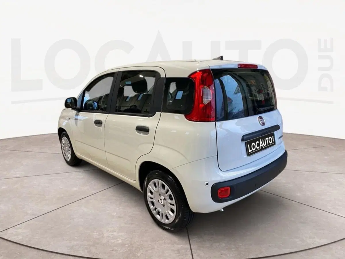 Fiat Pandina nuova a Torino (5)