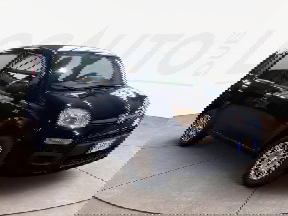 Fiat Pandina nuova a Torino (3)