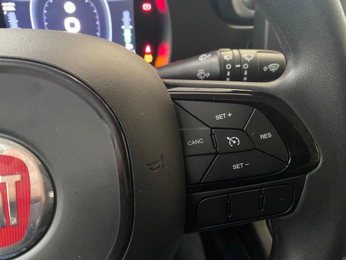 Fiat Pandina nuova a Torino (11)