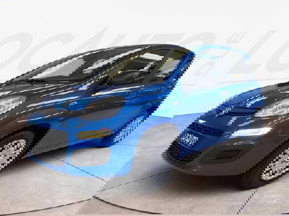 Fiat Pandina nuova a Torino (15)