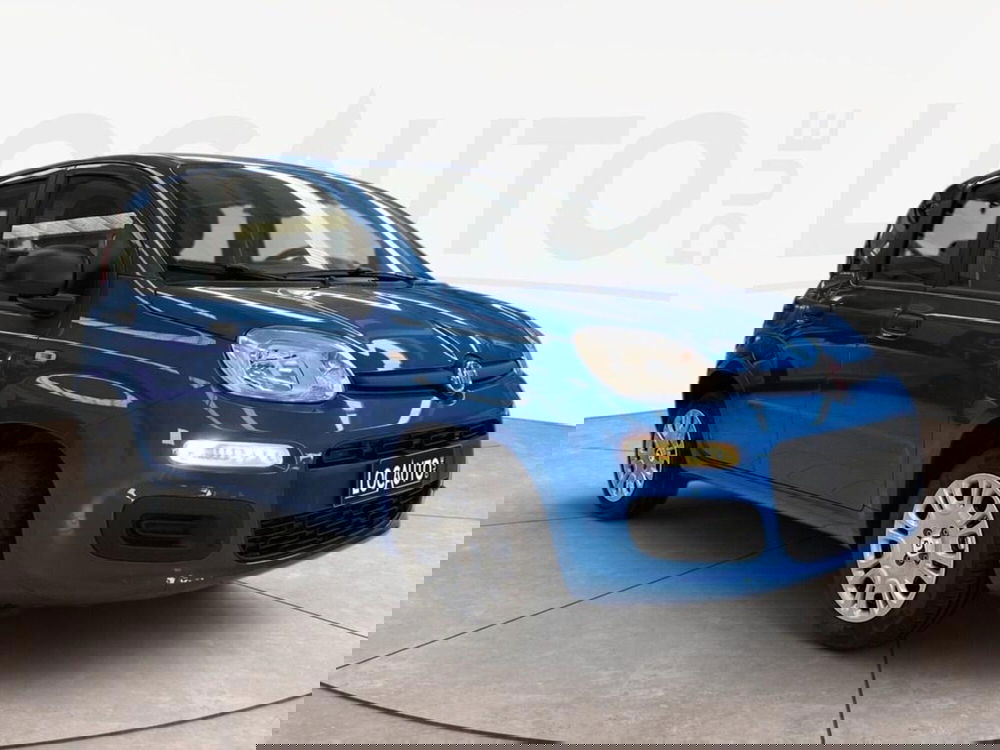 Fiat Pandina nuova a Torino (3)