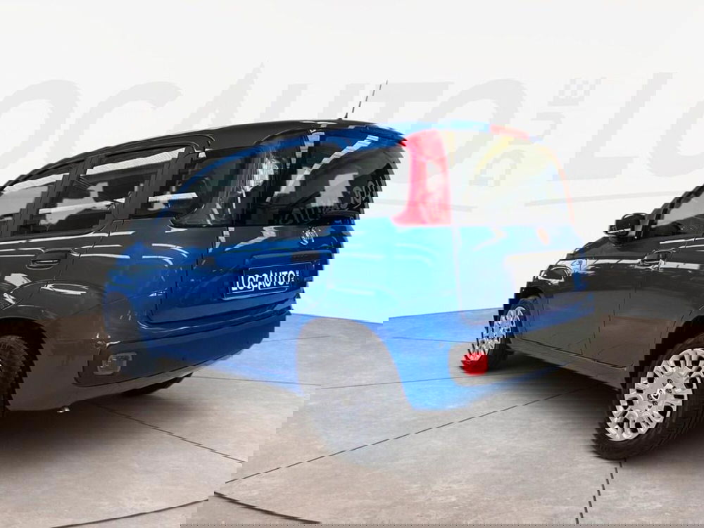 Fiat Pandina nuova a Torino (5)