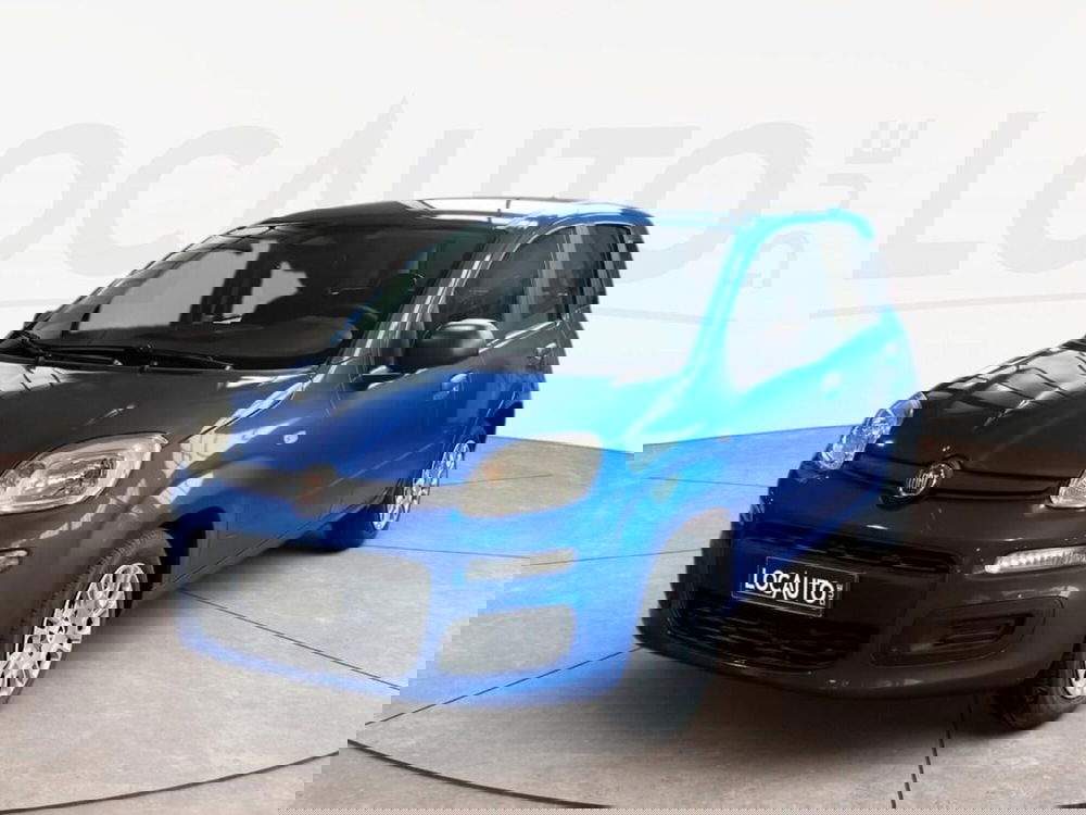 Fiat Pandina nuova a Torino