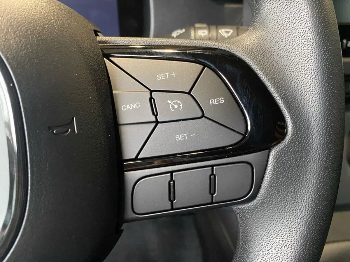 Fiat Pandina nuova a Torino (14)
