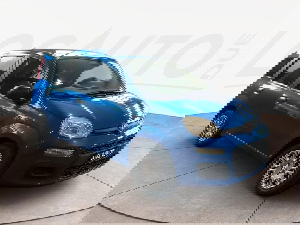 Fiat Pandina nuova a Torino (3)