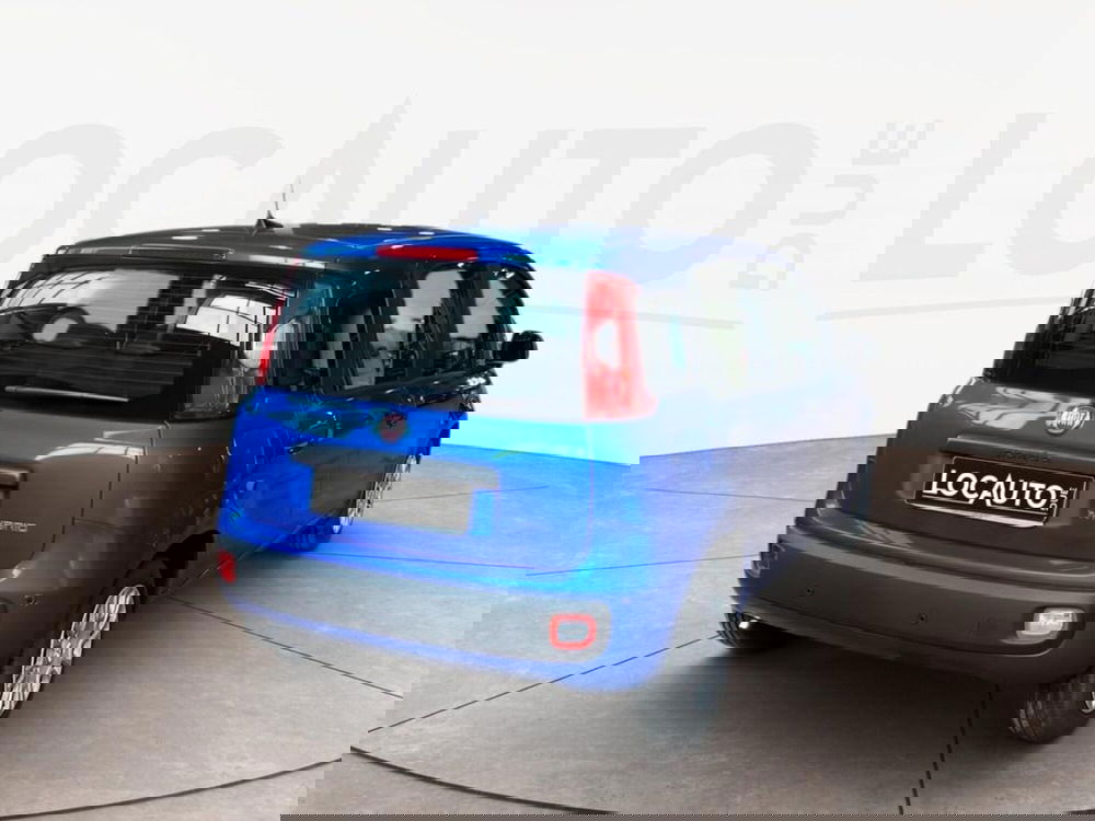 Fiat Pandina nuova a Torino (4)