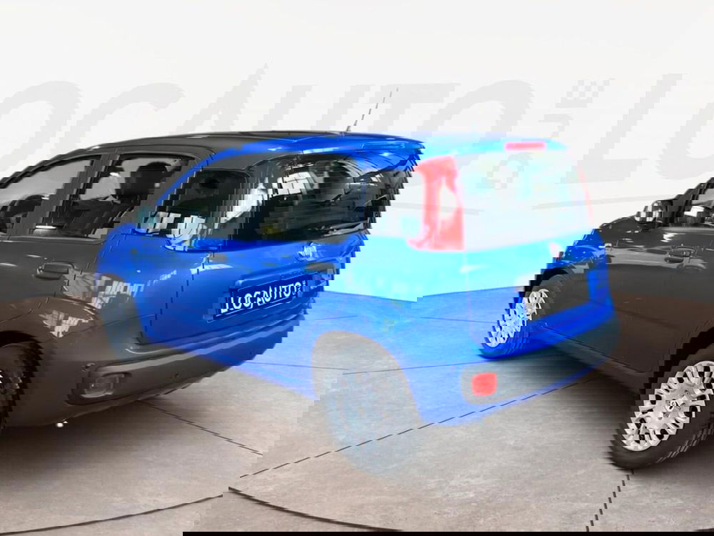 Fiat Pandina nuova a Torino (5)