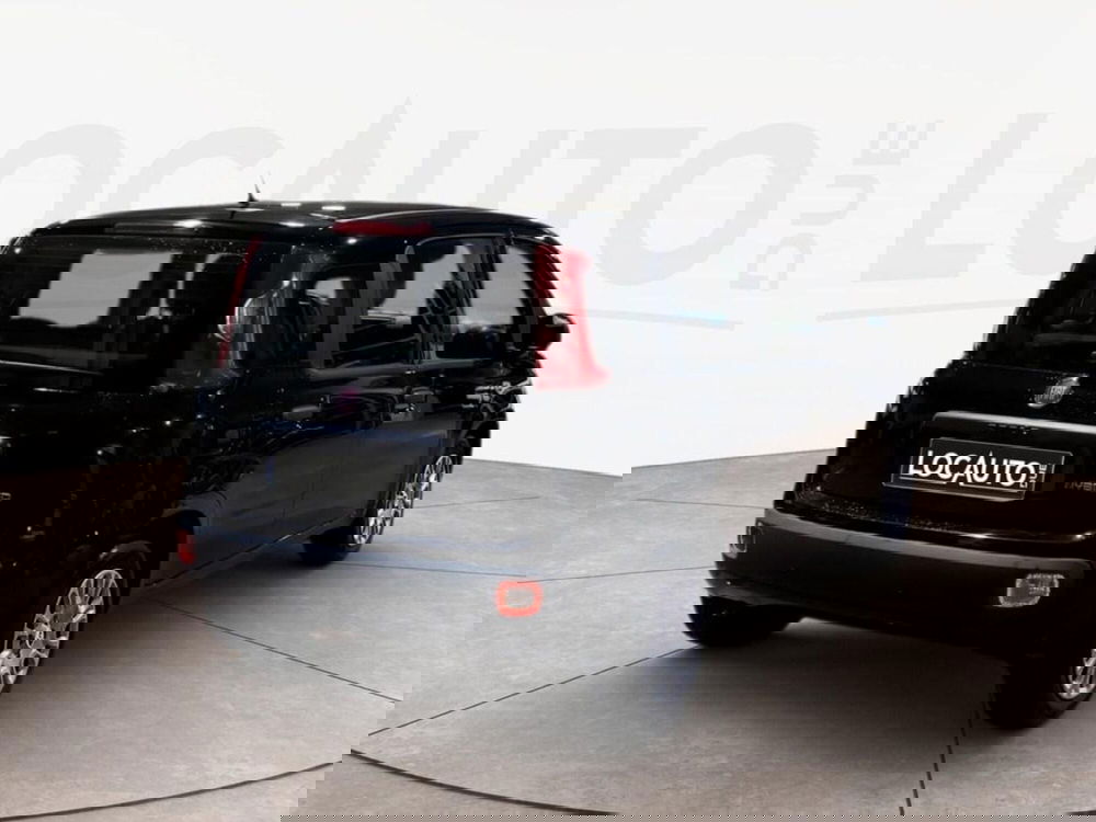 Fiat Pandina nuova a Torino (4)