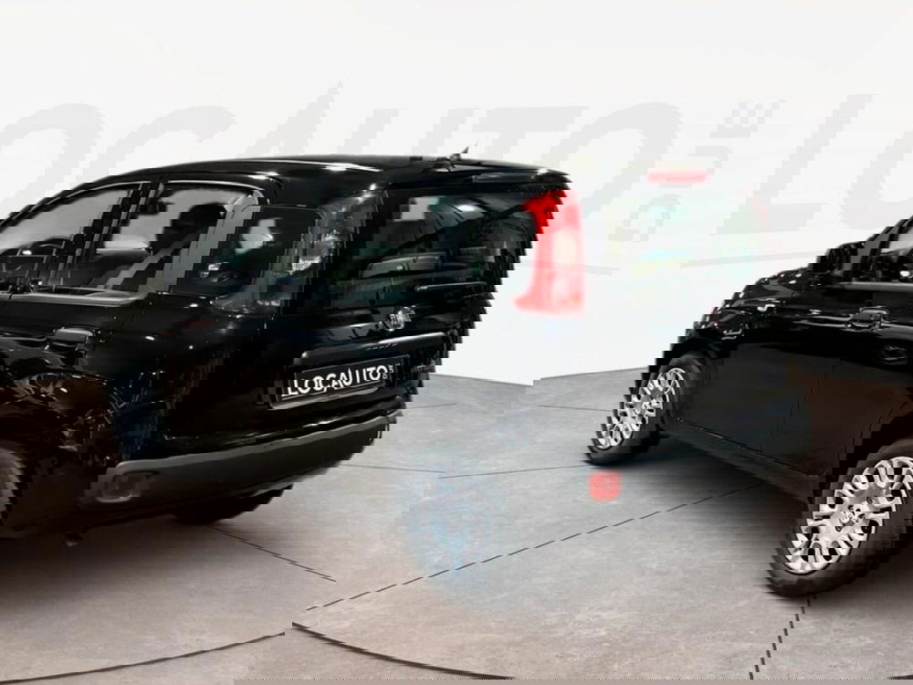 Fiat Pandina nuova a Torino (5)