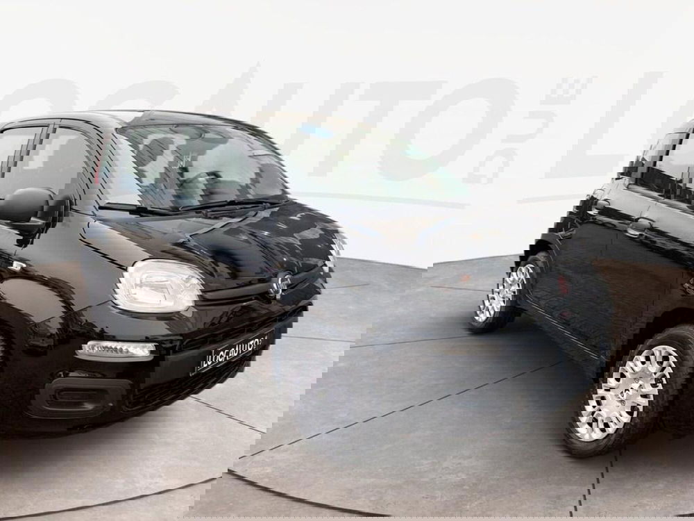 Fiat Pandina nuova a Torino (3)