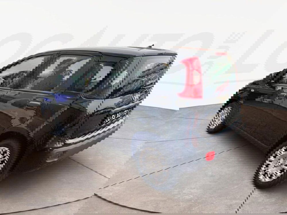 Fiat Pandina nuova a Torino (5)