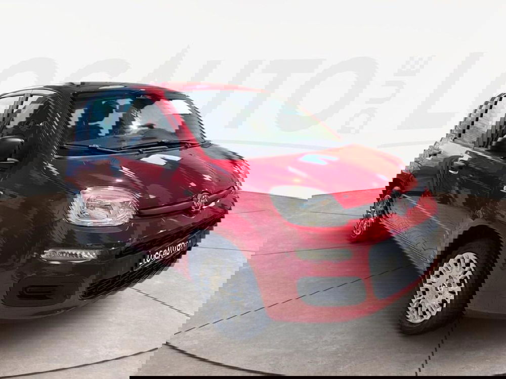 Fiat Pandina nuova a Torino (3)