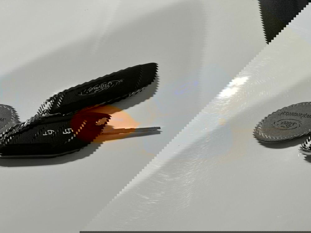 Ford EcoSport usata a Lecco (15)