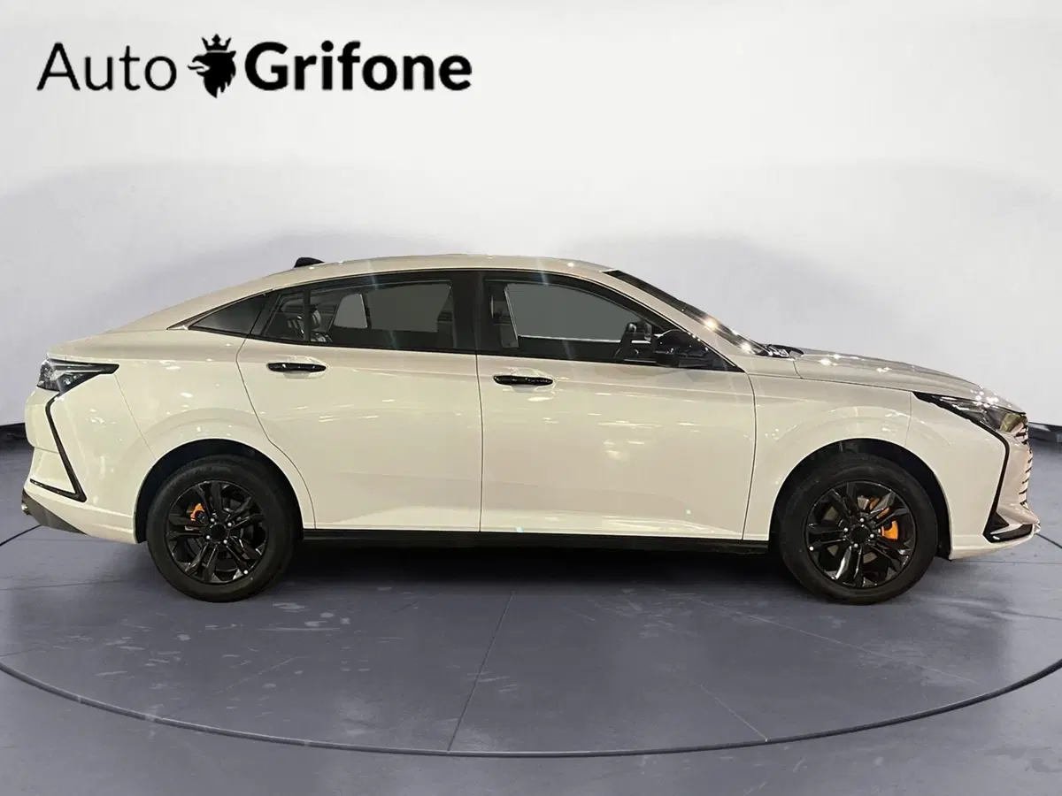 Dongfeng Shine  nuova a Modena (6)