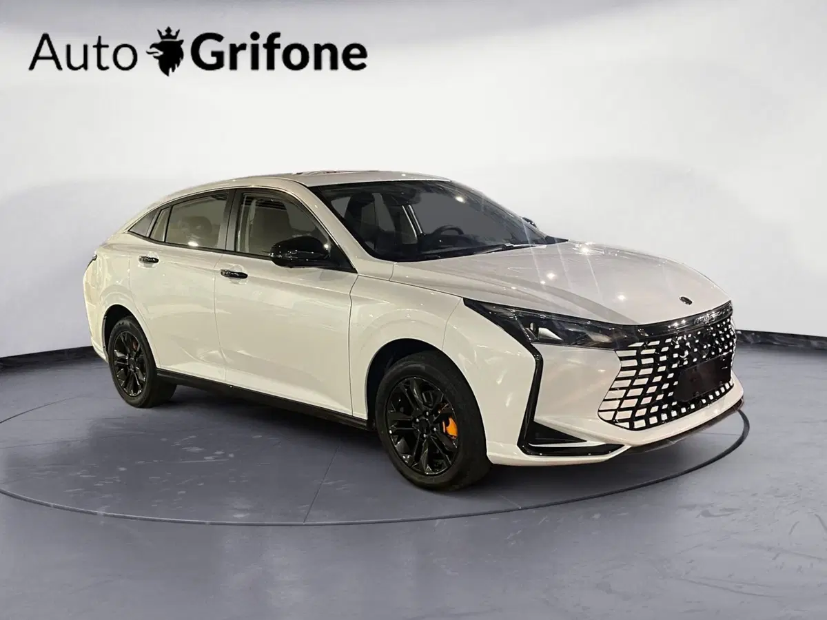 Dongfeng Shine  nuova a Modena (7)