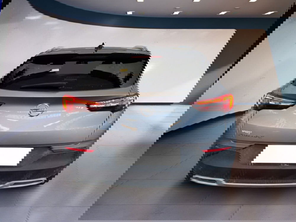 Opel Grandland X usata a Torino (5)