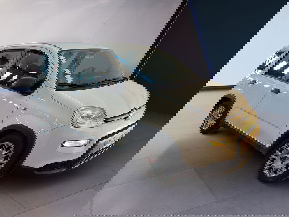 Fiat Panda usata a Torino (3)