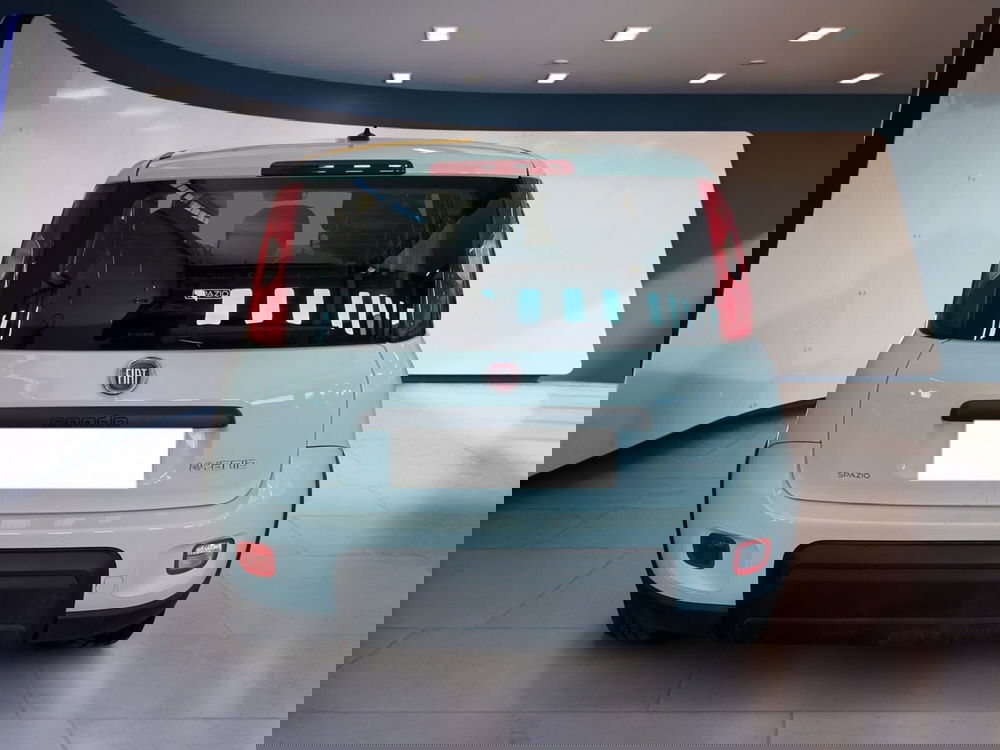 Fiat Panda usata a Torino (5)