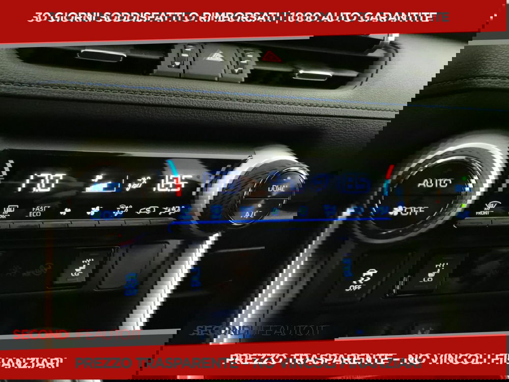 Toyota Rav4 usata a Chieti (18)