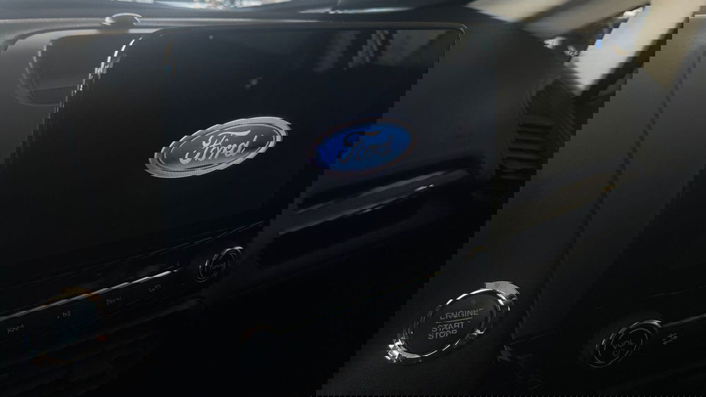 Ford EcoSport usata a Catania (6)
