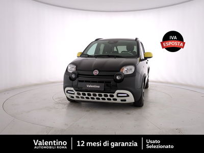 Fiat Panda 1.0 FireFly S&amp;S Hybrid Easy del 2025 usata a Roma