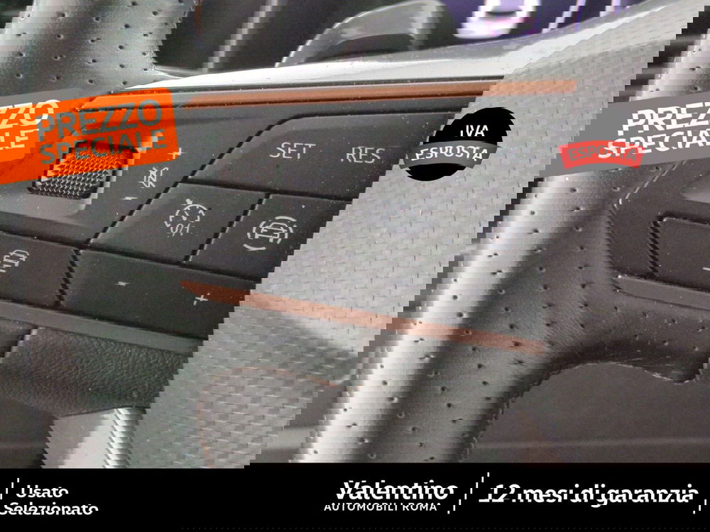 Cupra Formentor usata a Roma (15)