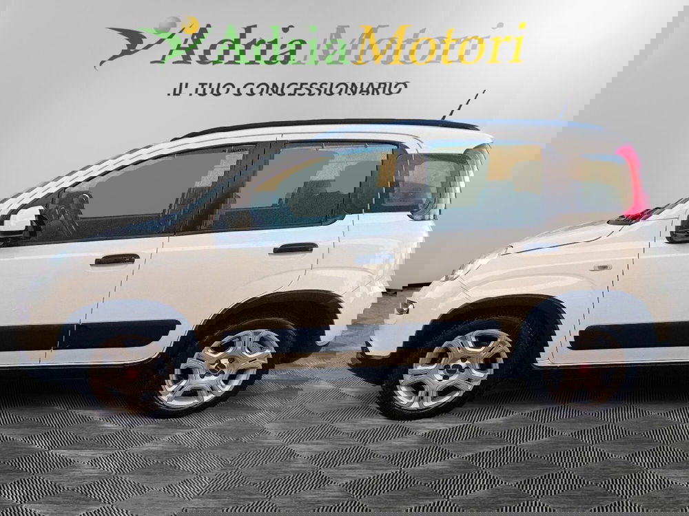 Fiat Panda usata a Pordenone (2)