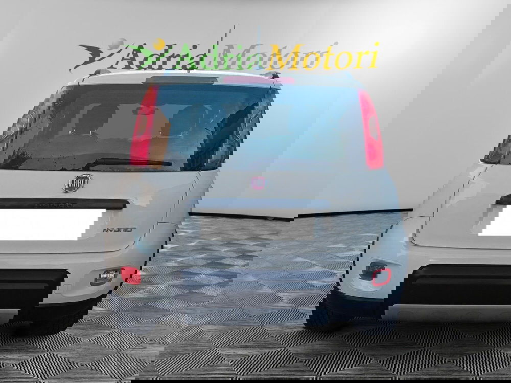 Fiat Panda usata a Pordenone (4)