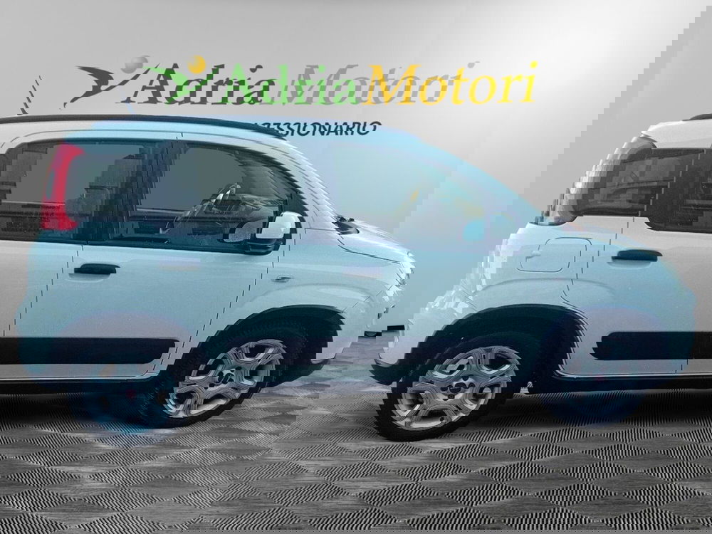 Fiat Panda usata a Pordenone (6)