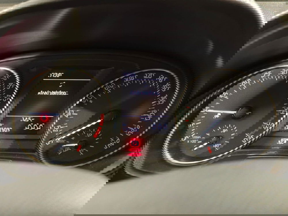 Skoda Fabia Station Wagon usata a Brescia (8)