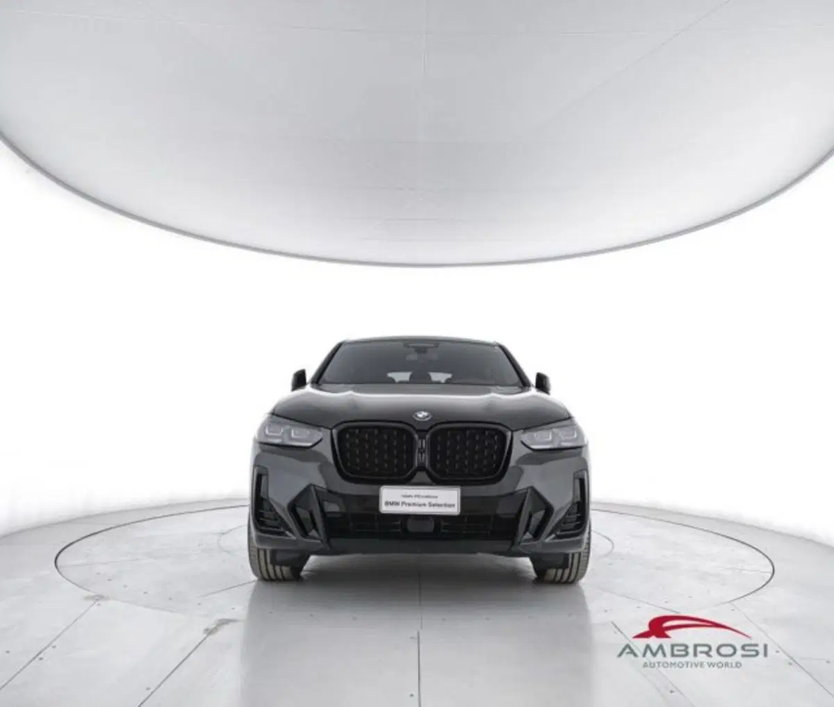 BMW X4 usata a Perugia (5)