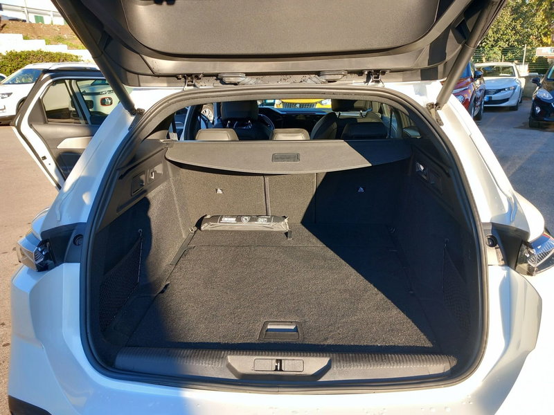 Peugeot 308 SW usata a Lucca (10)