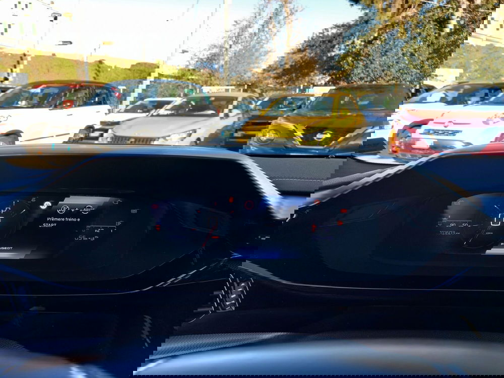 Peugeot 308 SW usata a Lucca (14)